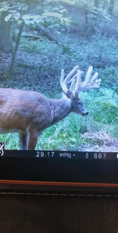 $715,000 | Tbd Reck Lane, Whitehall, WI 54773