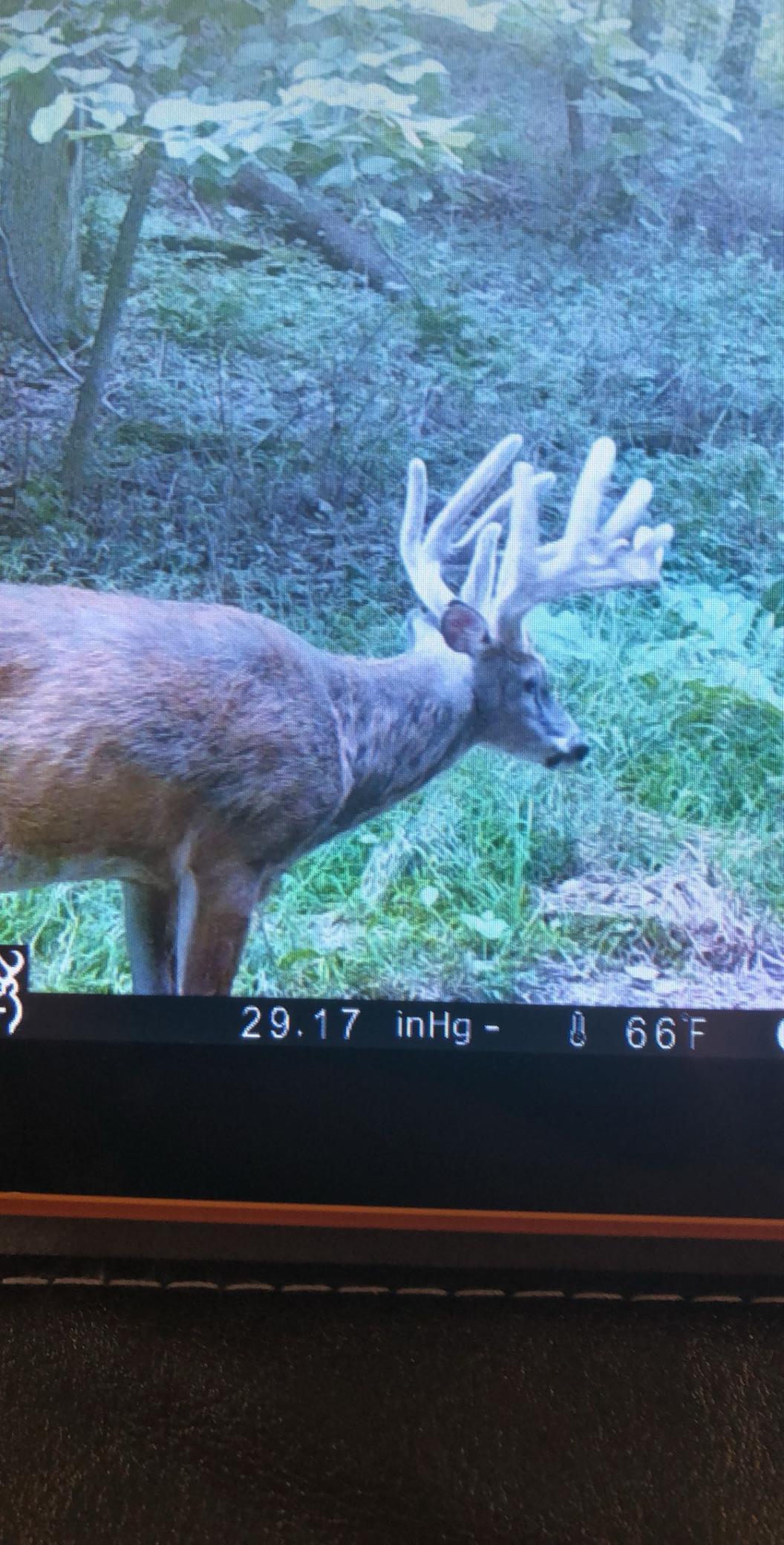 Tbd Reck Lane Whitehall, WI 54773 - Photo 41 of 77