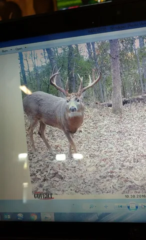 $715,000 | Tbd Reck Lane, Whitehall, WI 54773