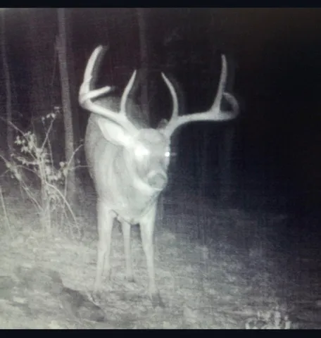 $715,000 | Tbd Reck Lane, Whitehall, WI 54773