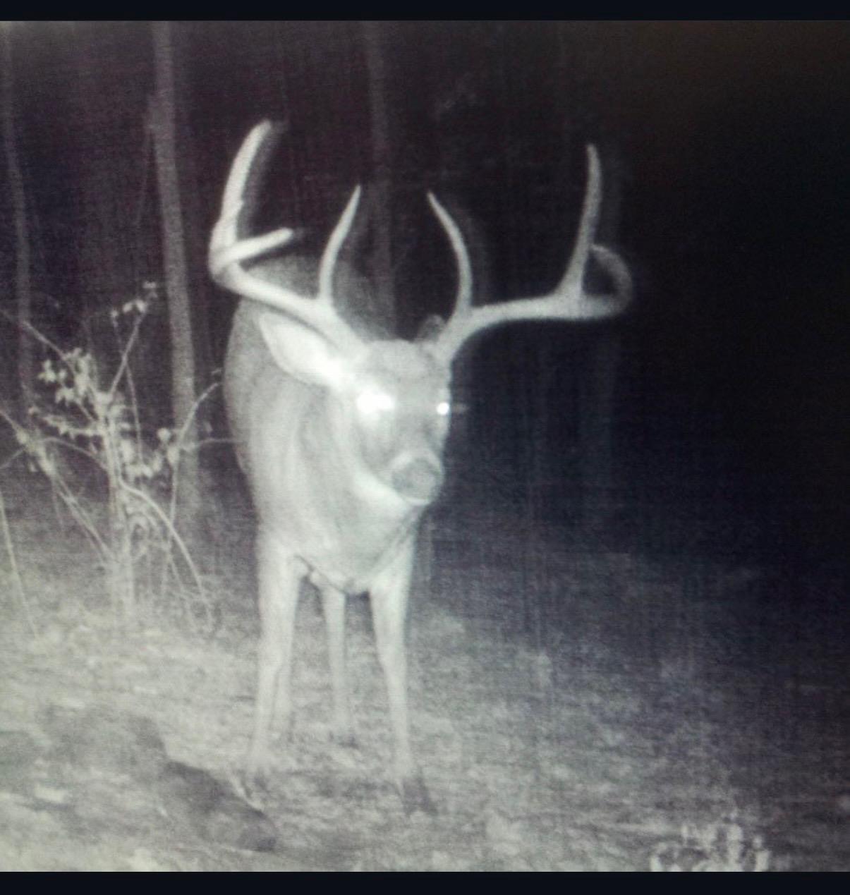 Tbd Reck Lane Whitehall, WI 54773 - Photo 43 of 77