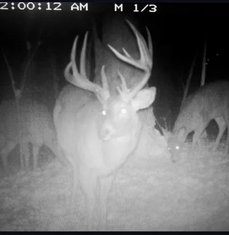 $715,000 | Tbd Reck Lane, Whitehall, WI 54773