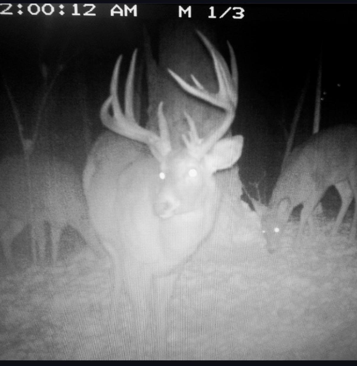 Tbd Reck Lane Whitehall, WI 54773 - Photo 44 of 77