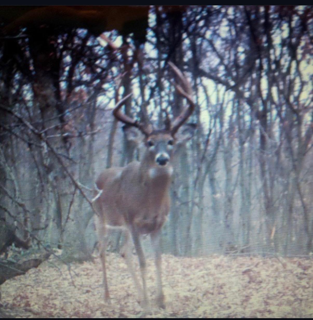 Tbd Reck Lane Whitehall, WI 54773 - Photo 45 of 77