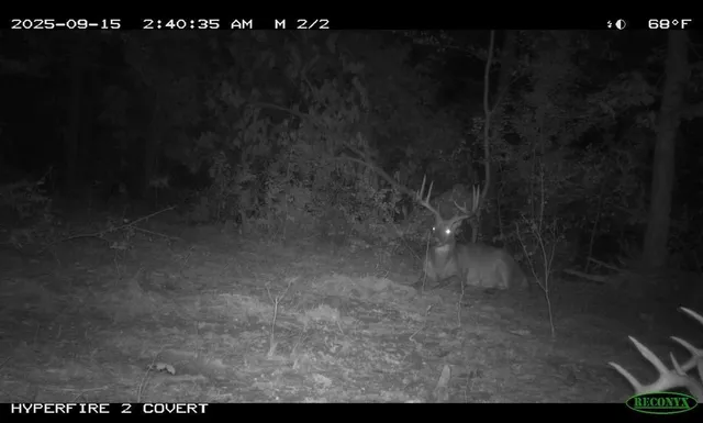 $715,000 | Tbd Reck Lane, Whitehall, WI 54773