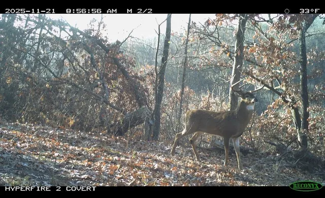 $715,000 | Tbd Reck Lane, Whitehall, WI 54773