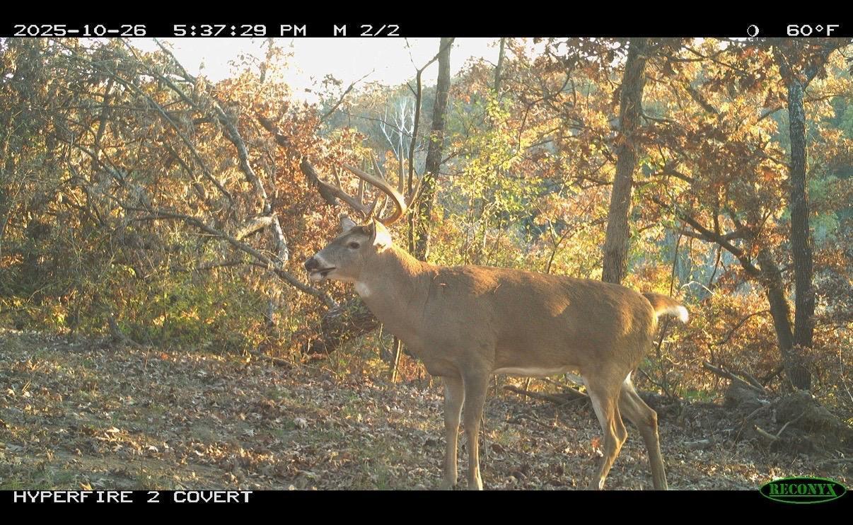 Tbd Reck Lane Whitehall, WI 54773 - Photo 48 of 77
