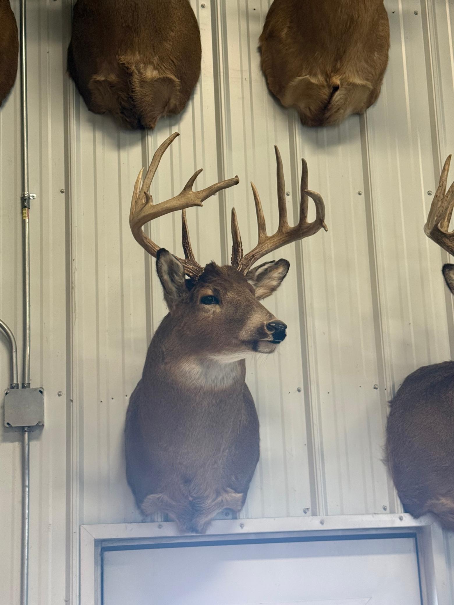 Tbd Reck Lane Whitehall, WI 54773 - Photo 49 of 77