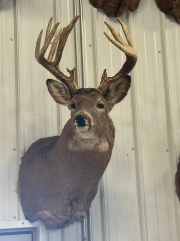 $715,000 | Tbd Reck Lane, Whitehall, WI 54773