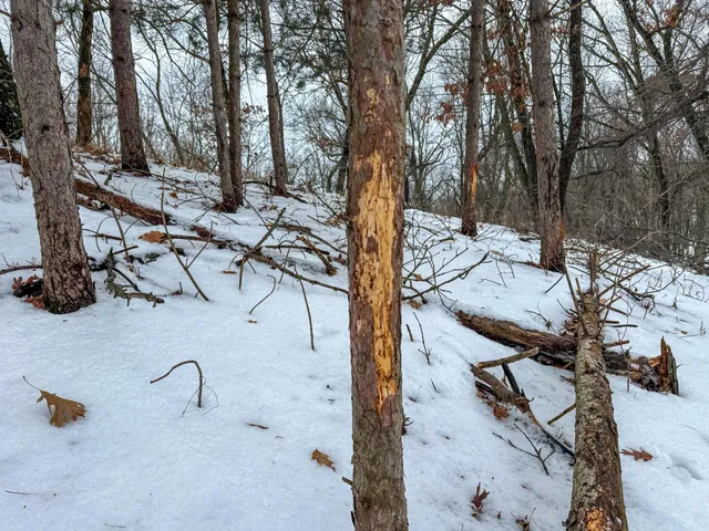 $715,000 | Tbd Reck Lane, Whitehall, WI 54773