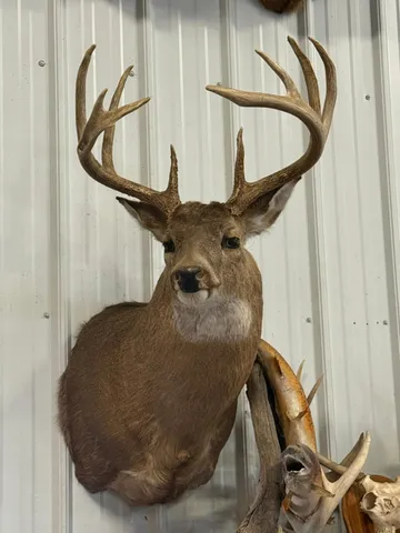 $715,000 | Tbd Reck Lane, Whitehall, WI 54773