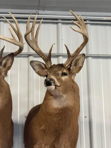 $715,000 | Tbd Reck Lane, Whitehall, WI 54773