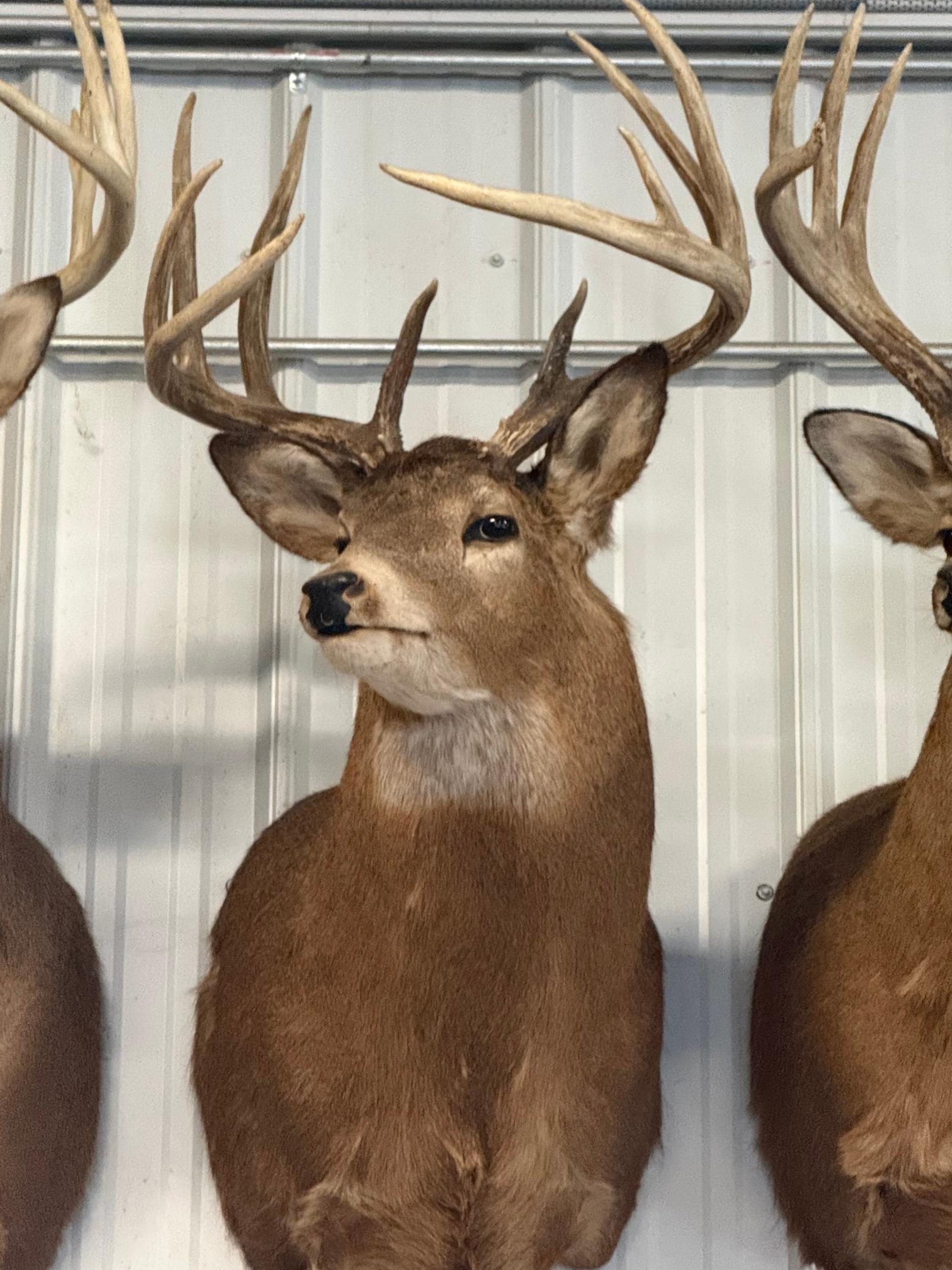 Tbd Reck Lane Whitehall, WI 54773 - Photo 53 of 77