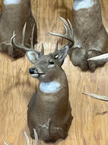 $715,000 | Tbd Reck Lane, Whitehall, WI 54773