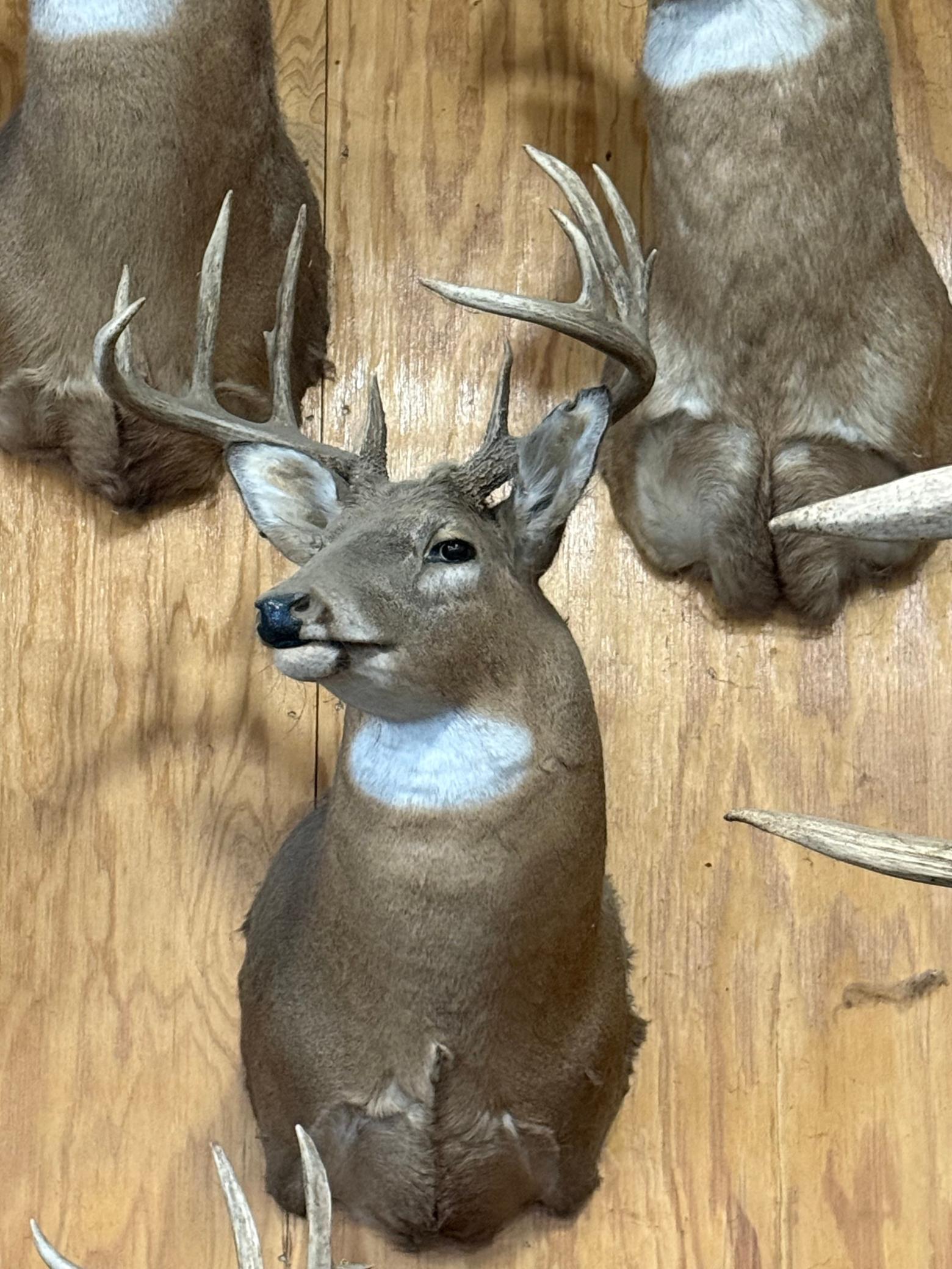 Tbd Reck Lane Whitehall, WI 54773 - Photo 54 of 77