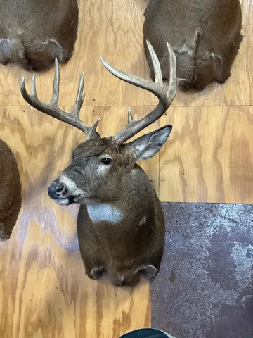 $715,000 | Tbd Reck Lane, Whitehall, WI 54773