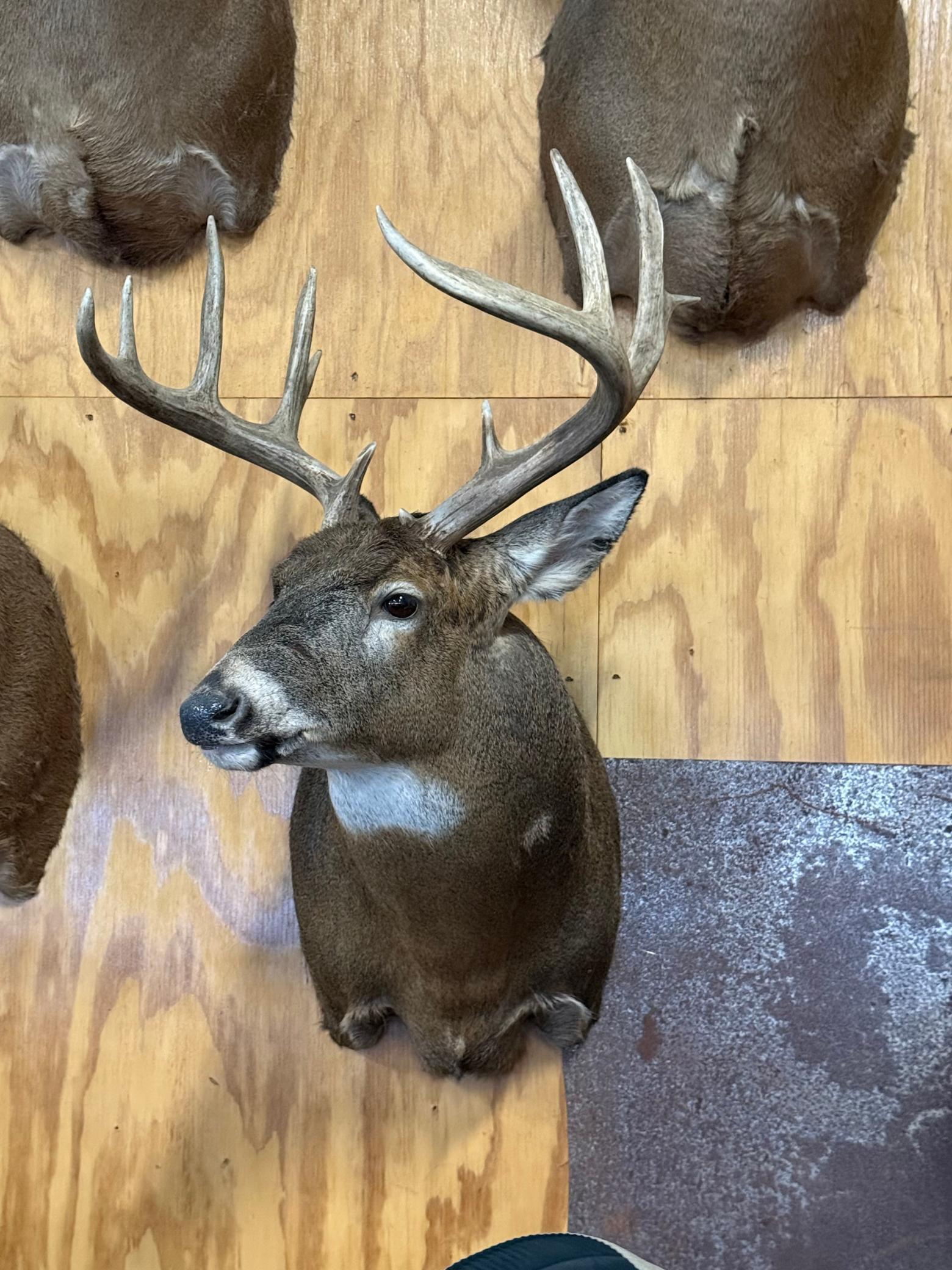 Tbd Reck Lane Whitehall, WI 54773 - Photo 55 of 77