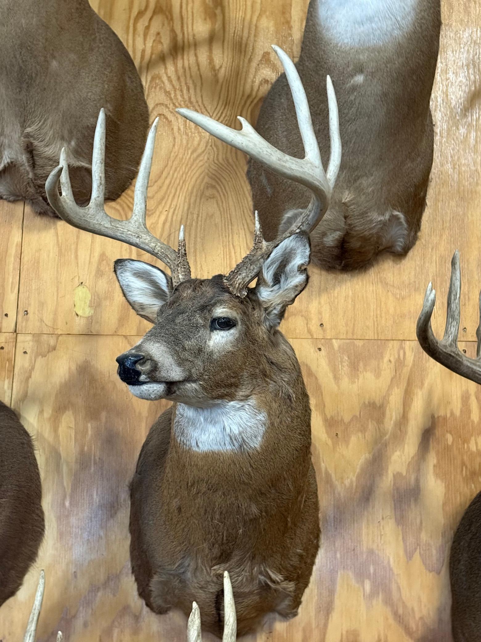 Tbd Reck Lane Whitehall, WI 54773 - Photo 56 of 77