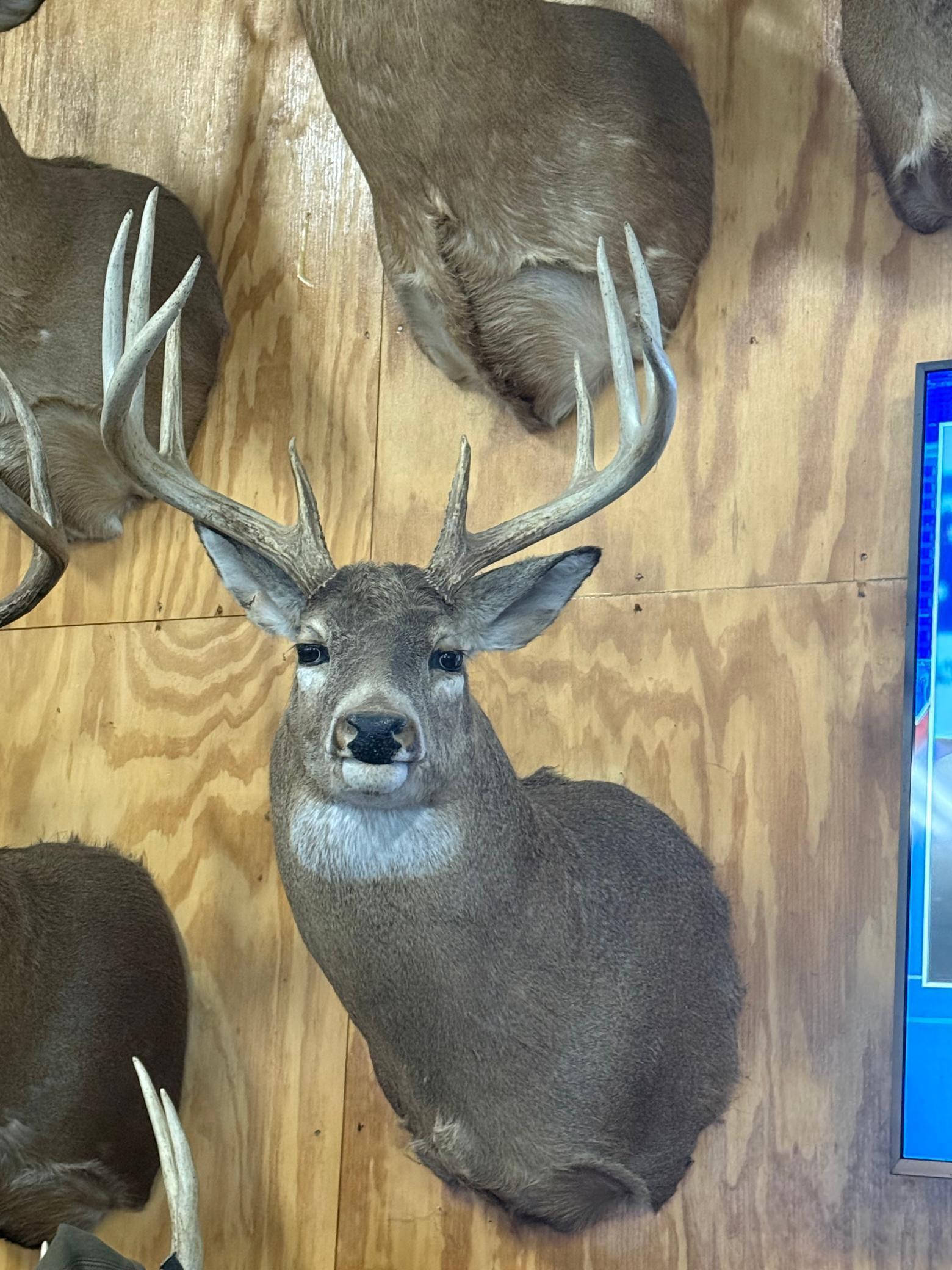 Tbd Reck Lane Whitehall, WI 54773 - Photo 57 of 77