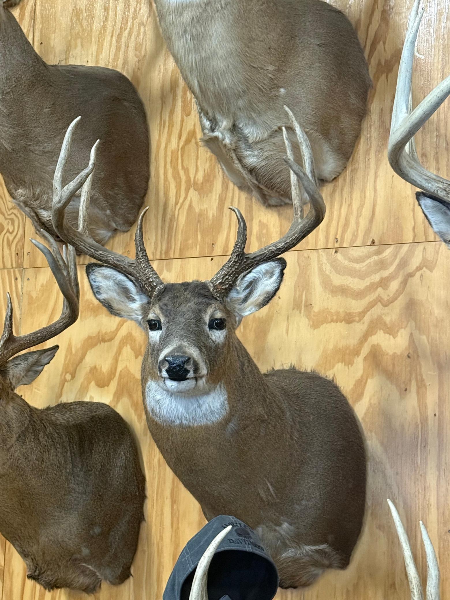 Tbd Reck Lane Whitehall, WI 54773 - Photo 58 of 77