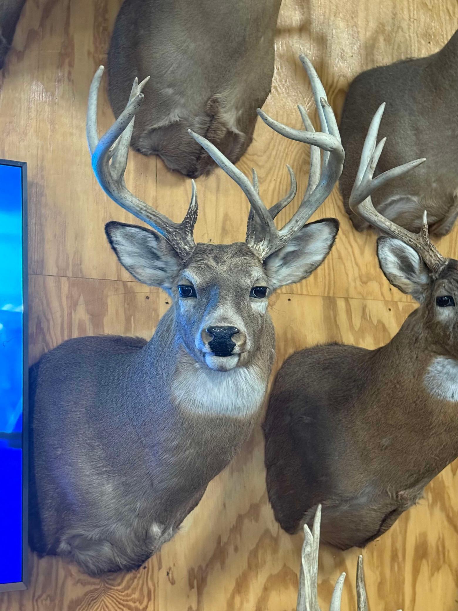 Tbd Reck Lane Whitehall, WI 54773 - Photo 59 of 77