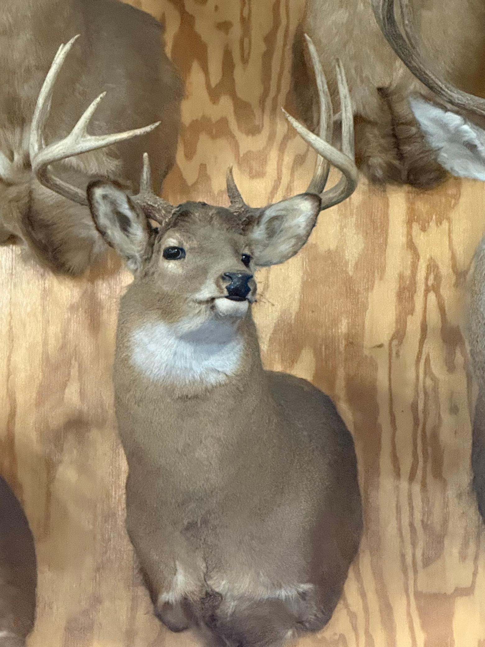 Tbd Reck Lane Whitehall, WI 54773 - Photo 60 of 77