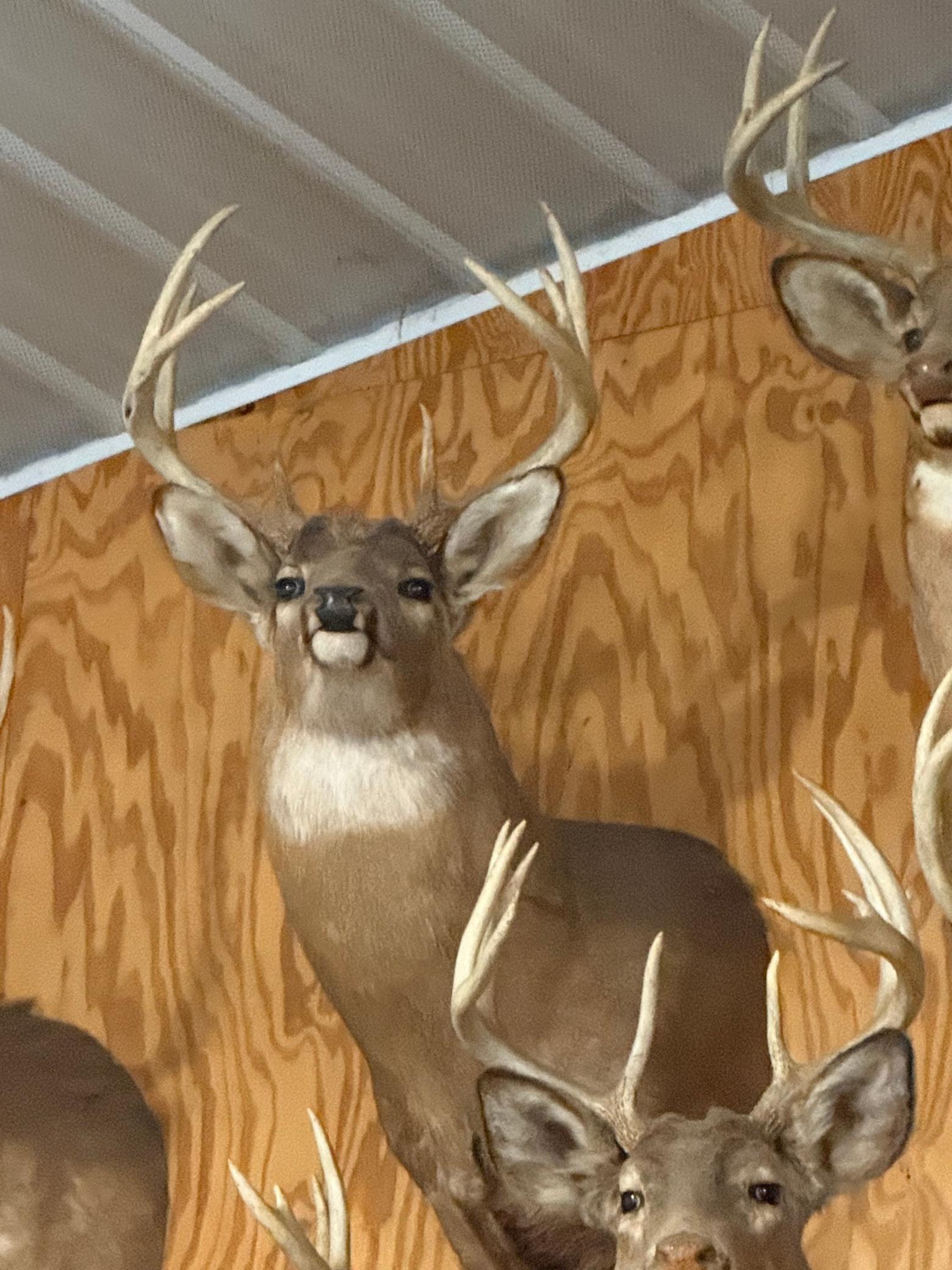 Tbd Reck Lane Whitehall, WI 54773 - Photo 61 of 77