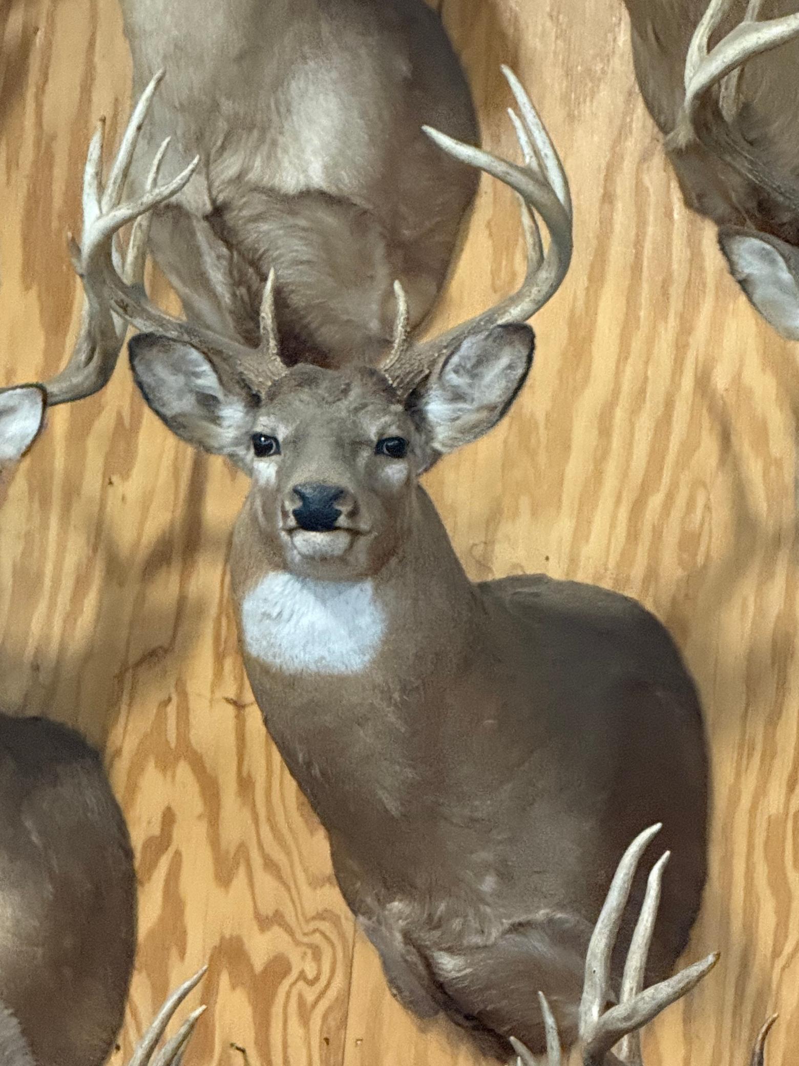 Tbd Reck Lane Whitehall, WI 54773 - Photo 62 of 77