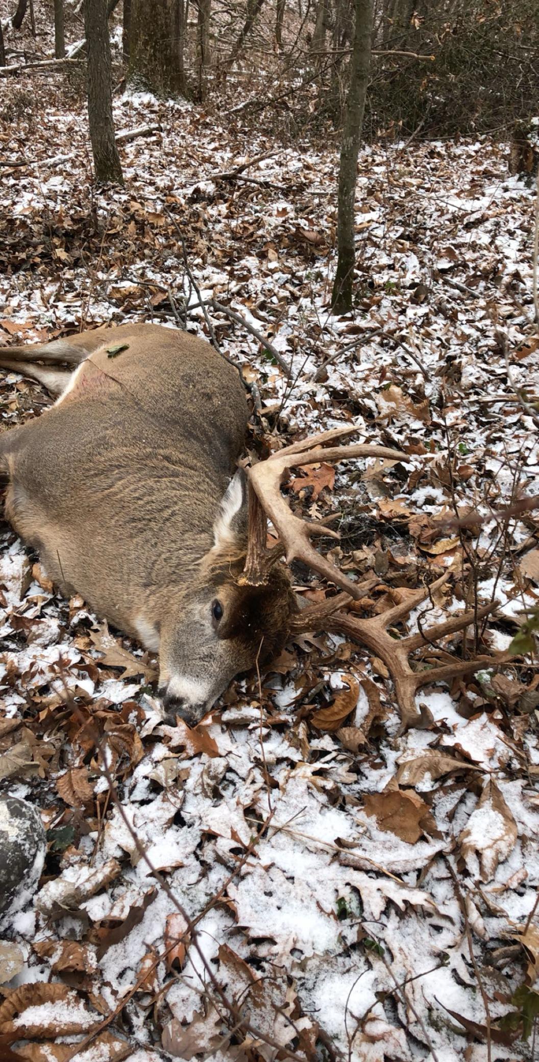 Tbd Reck Lane Whitehall, WI 54773 - Photo 64 of 77