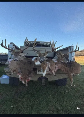 $715,000 | Tbd Reck Lane, Whitehall, WI 54773