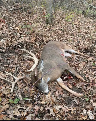 $715,000 | Tbd Reck Lane, Whitehall, WI 54773