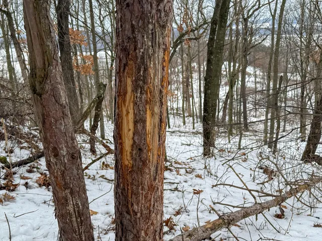 $715,000 | Tbd Reck Lane, Whitehall, WI 54773