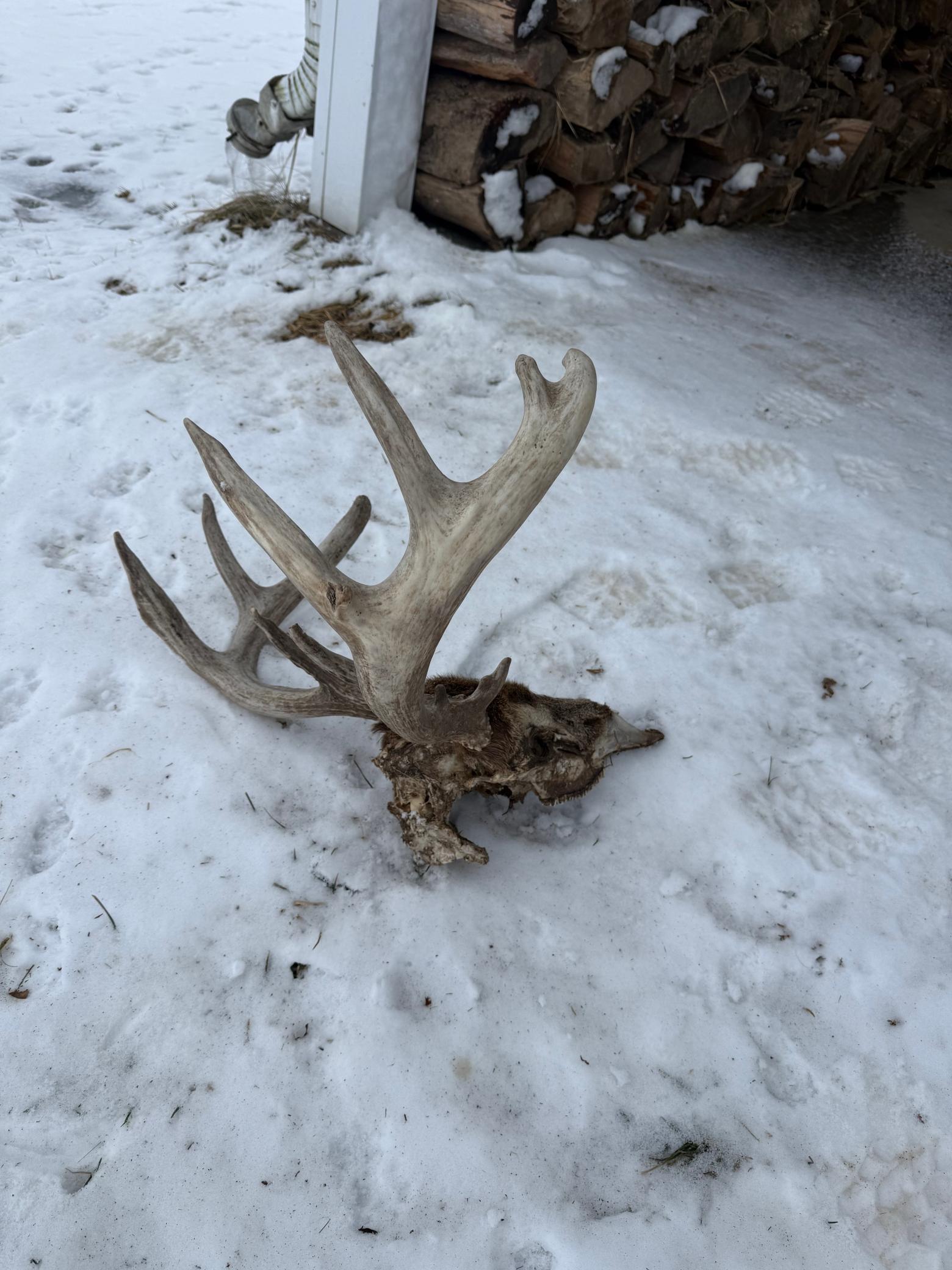 Tbd Reck Lane Whitehall, WI 54773 - Photo 73 of 77