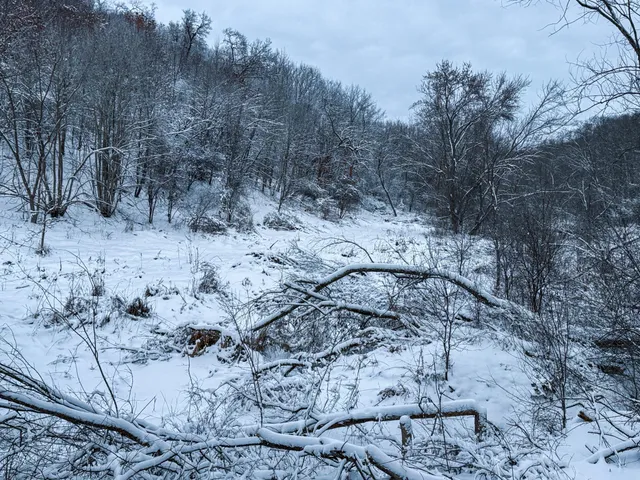 $715,000 | Tbd Reck Lane, Whitehall, WI 54773