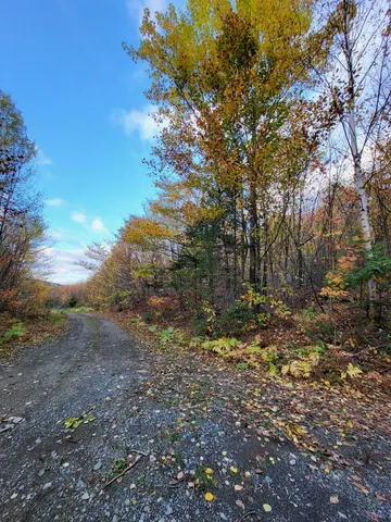 $79,900 | Lot 9 Moose Ridge Road, Oakfield, ME 04763