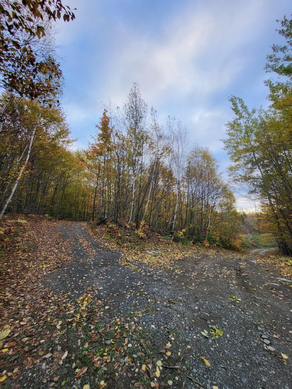 Lot 9 Moose Ridge Road Oakfield, ME 04763 - Photo 22 of 38 image14