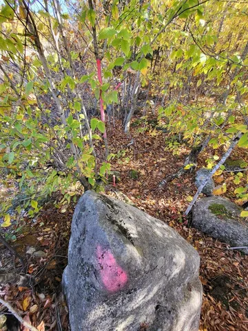 $79,900 | Lot 9 Moose Ridge Road, Oakfield, ME 04763