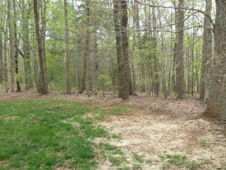 1001 Bonbrook Mill Road Rocky Mount, VA 24151 - Photo 20 of 35 20 Back Yard