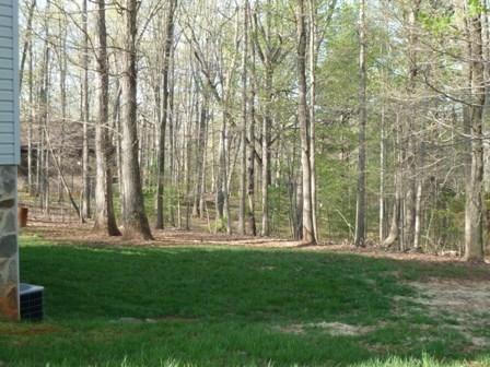 1001 Bonbrook Mill Road Rocky Mount, VA 24151 - Photo 23 of 35 23 Yard