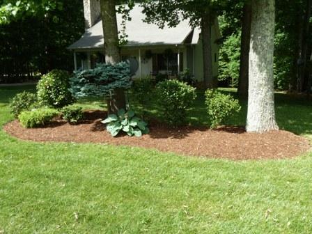 1001 Bonbrook Mill Road Rocky Mount, VA 24151 - Photo 31 of 35 31 Landscaping