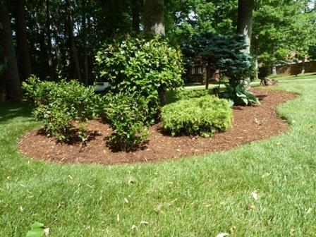 1001 Bonbrook Mill Road Rocky Mount, VA 24151 - Photo 33 of 35 33 Landscaping