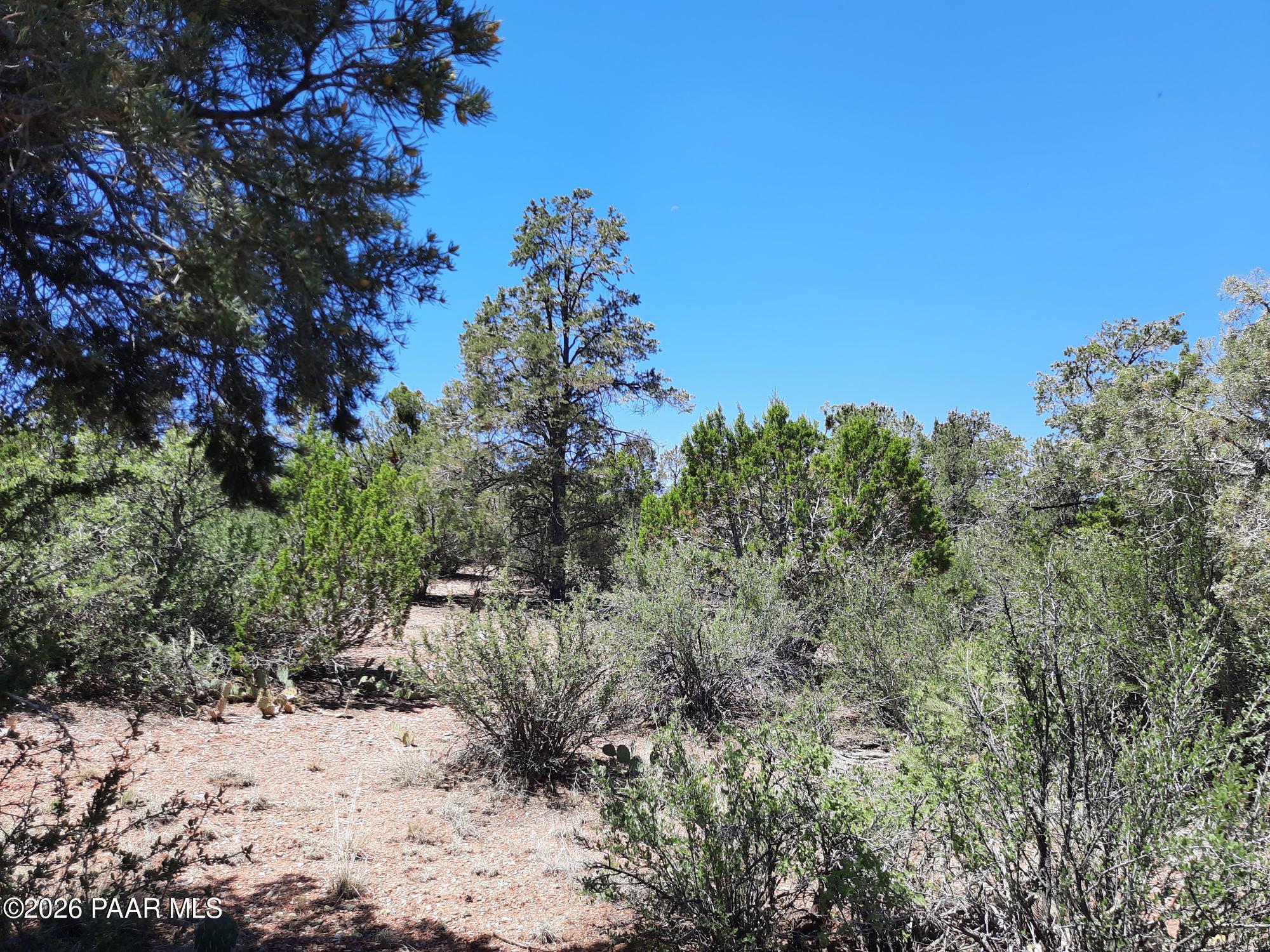 5 Denny 5 Road Seligman, AZ 86337 - Photo 5 of 16 cover