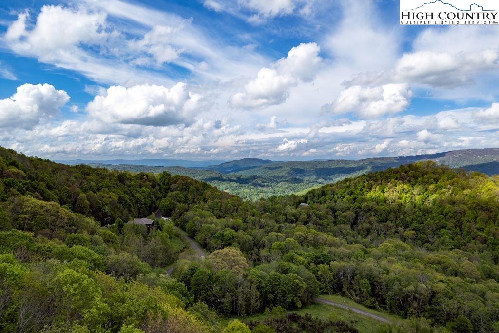331 May Apple Trail Newland, NC 28657 - Photo 47 of 48 a view of a bunch of trees