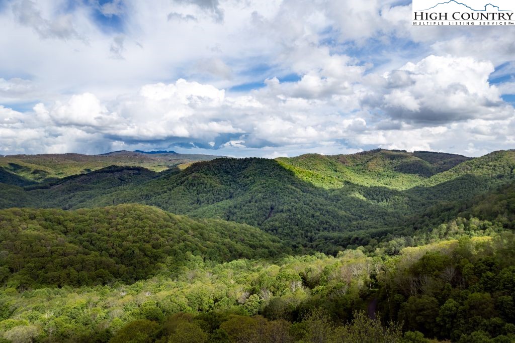 331 May Apple Trail Newland, NC 28657 - Photo 48 of 48 a view of a green field with lots of bushes