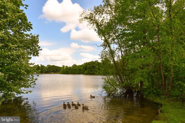 a view of outdoor space and deck