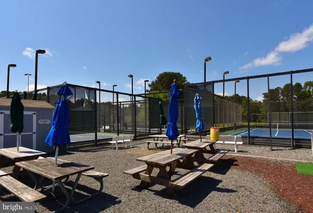 a view of a park with large trees