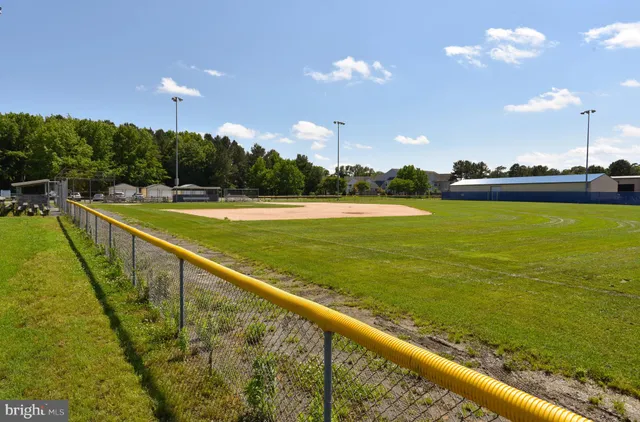 a view of a park with large trees