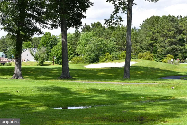 a garden view with a sitting space