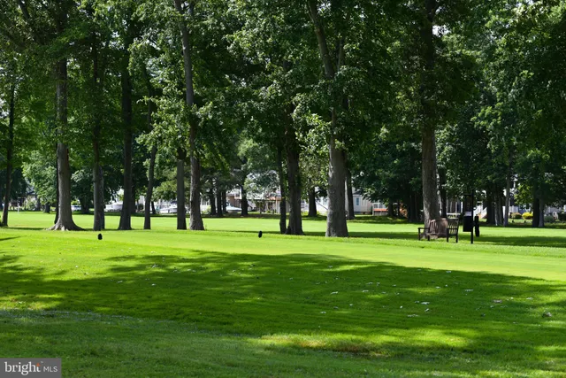a view of a lake from a yard