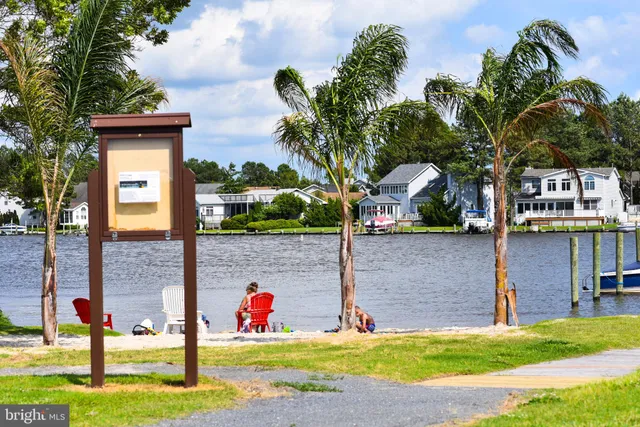 a view of a street sign under a large tree